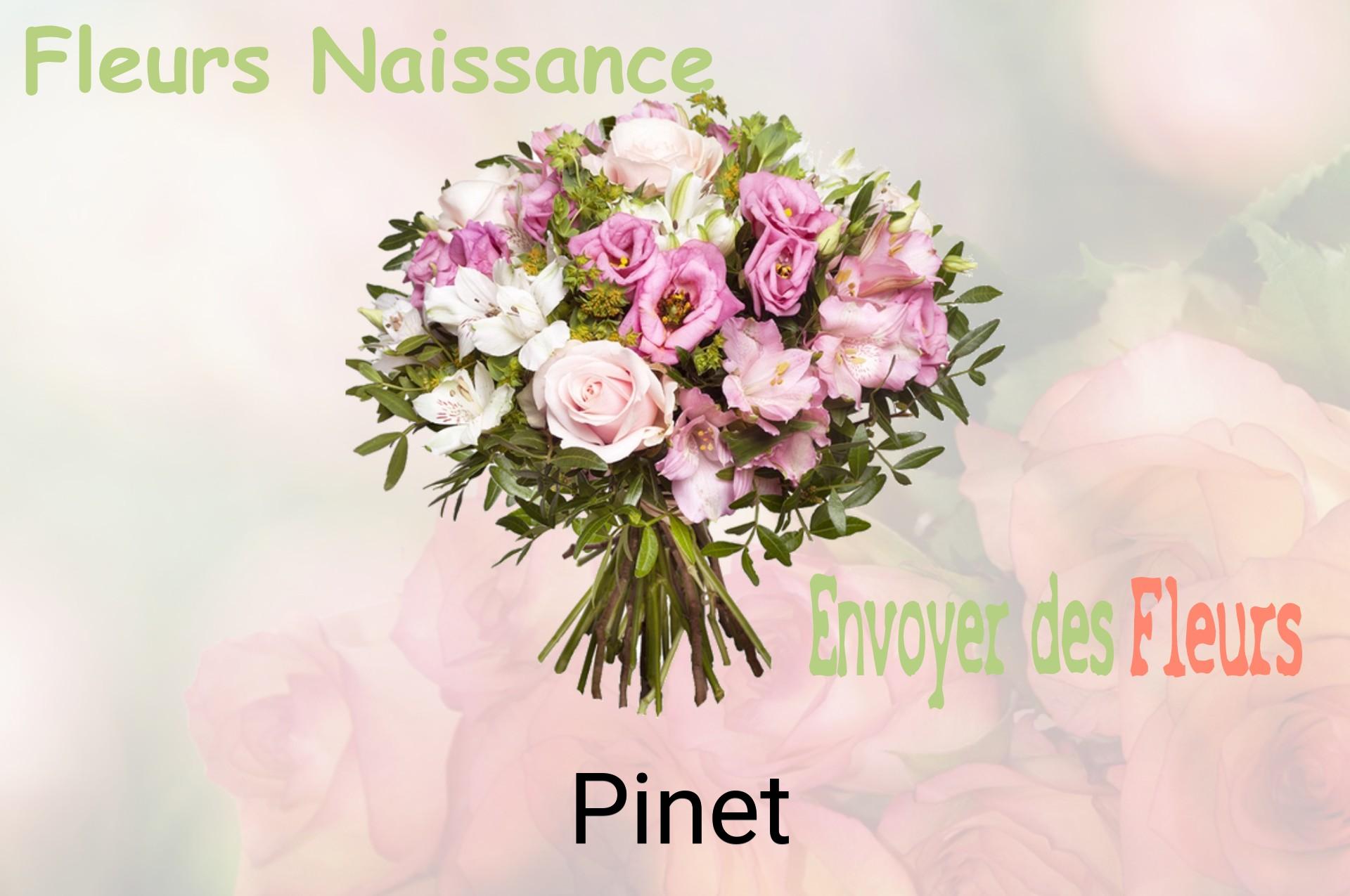 Bouquet de fleurs de naissance livré à Pinet